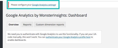 Monster-Insights-Activated