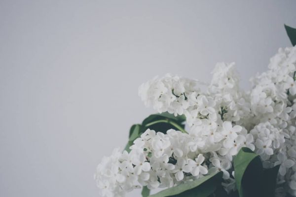 Hypnotherapy Website Business + eCommerce Package